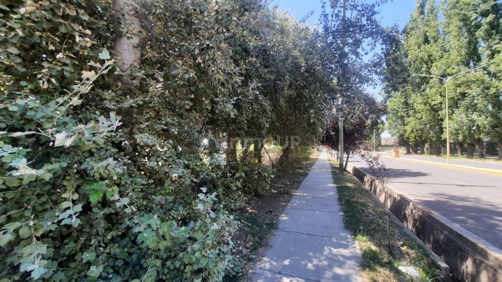 Terreno en Venta en Tupungato, Mendoza