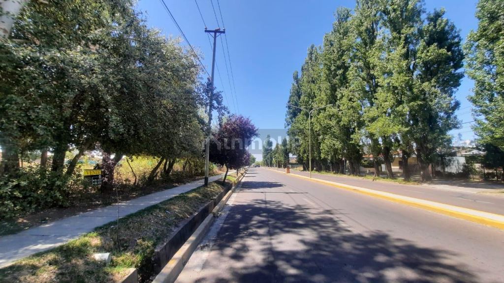 Terreno en Venta en Tupungato, Mendoza