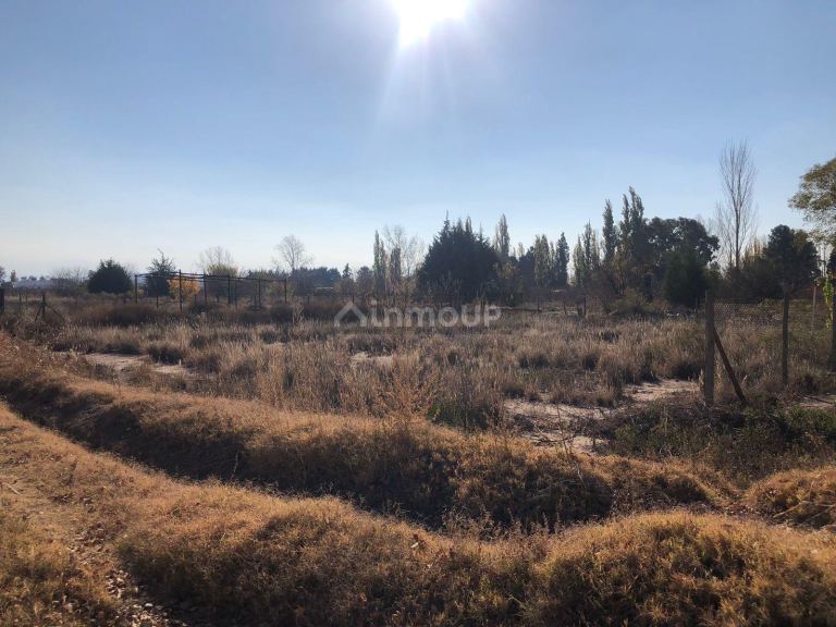Terreno en Venta en Lujan de Cuyo, Mendoza