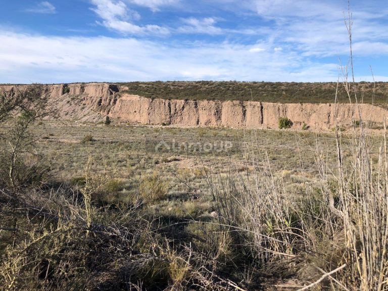 Terreno en Venta en Lujan de Cuyo, Mendoza