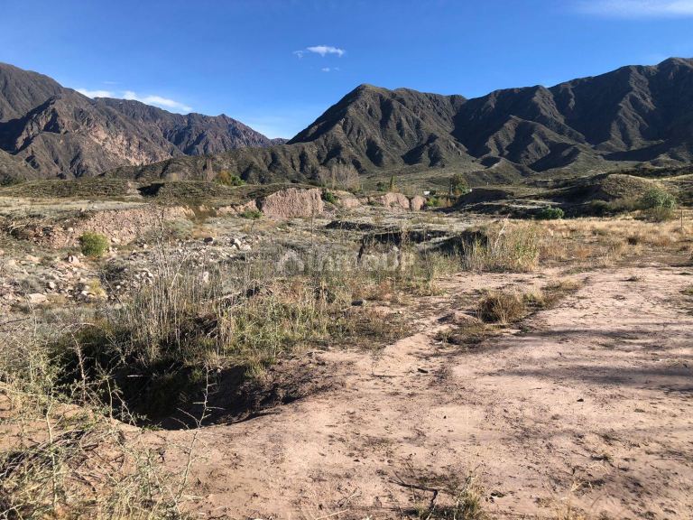 Terreno en Venta en Lujan de Cuyo, Mendoza