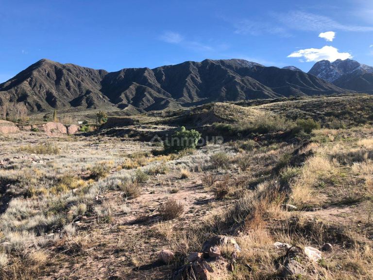 Terreno en Venta en Lujan de Cuyo, Mendoza