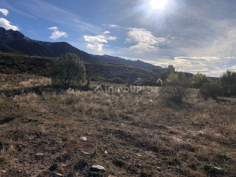 Terreno en Venta en Lujan de Cuyo, Mendoza