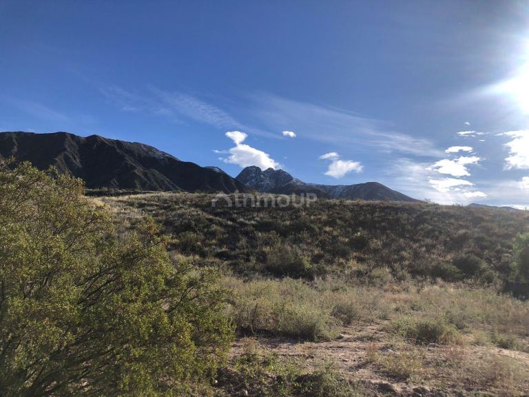 Terreno en Venta en Lujan de Cuyo, Mendoza