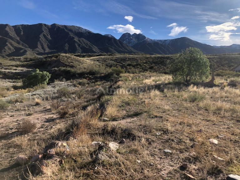 Terreno en Venta en Lujan de Cuyo, Mendoza