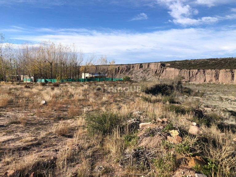 Terreno en Venta en Lujan de Cuyo, Mendoza