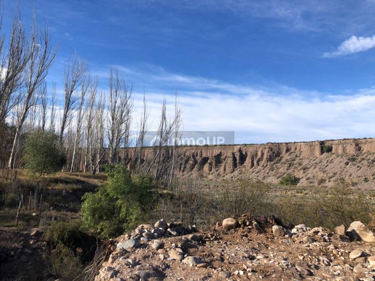 Loteo en Venta en Lujan de Cuyo, Mendoza
