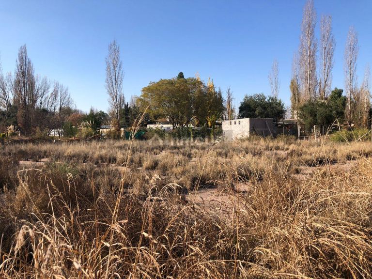 Lote en Venta en Lujan de Cuyo, Mendoza