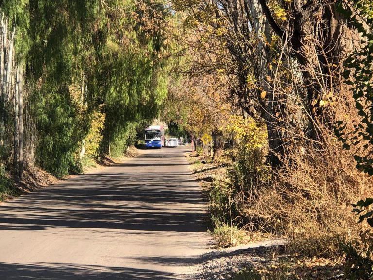 Lote en Venta en Lujan de Cuyo, Mendoza