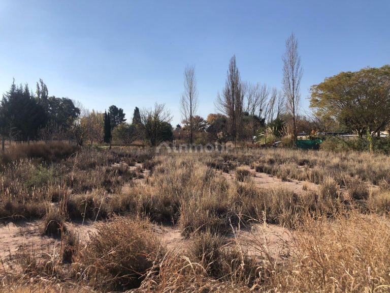 Lote en Venta en Lujan de Cuyo, Mendoza