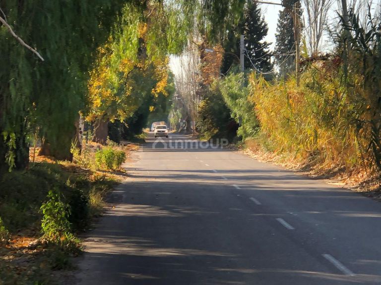 Lote en Venta en Lujan de Cuyo, Mendoza