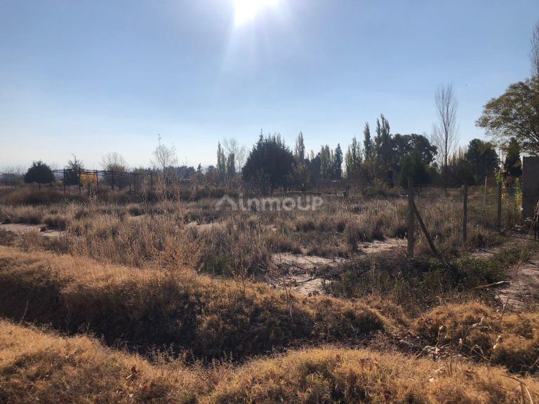 Lote en Venta en Lujan de Cuyo, Mendoza