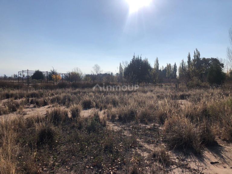 Lote en Venta en Lujan de Cuyo, Mendoza