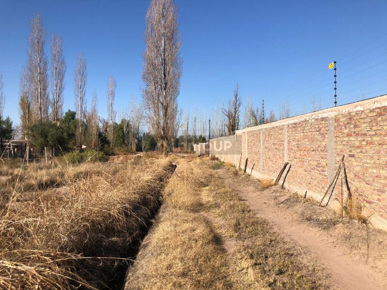 Lote en Venta en Lujan de Cuyo, Mendoza