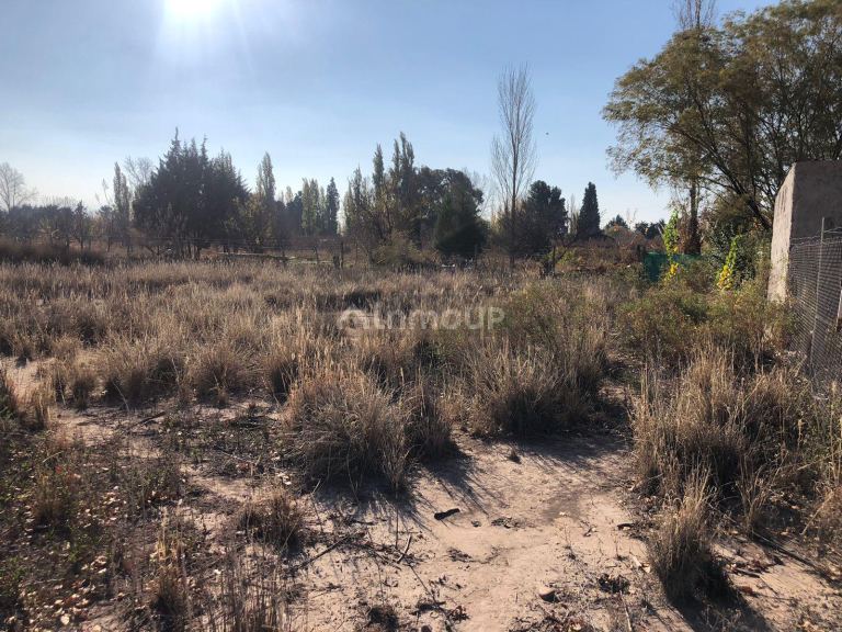 Lote en Venta en Lujan de Cuyo, Mendoza