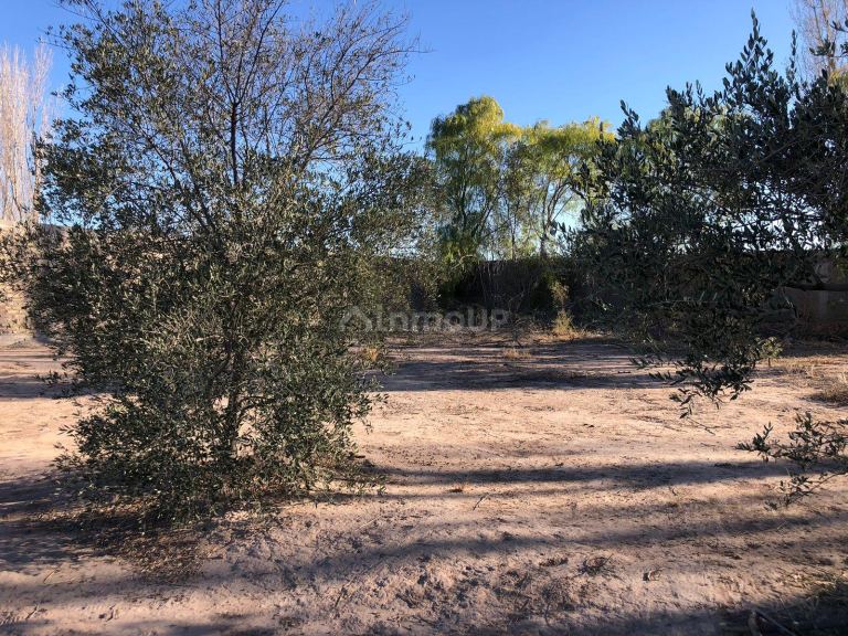 Lote en Venta en Maipu, Mendoza