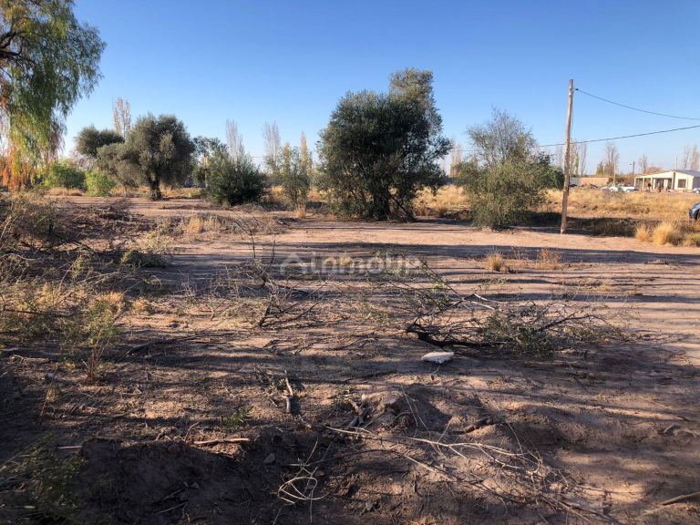 Lote en Venta en Maipu, Mendoza