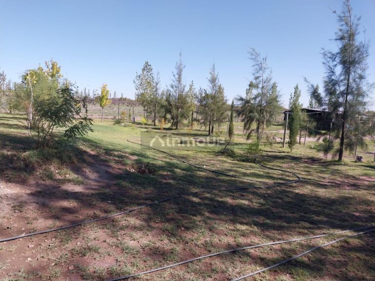 Casa en Venta en San Rafael, Mendoza