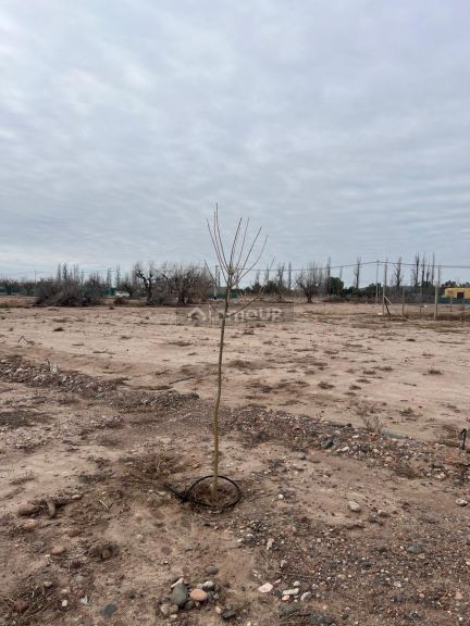 Lote en Venta en Lujan de Cuyo, Mendoza