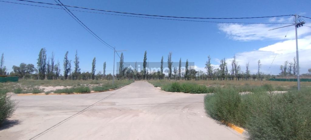 Lote en Venta en Lujan de Cuyo, Mendoza