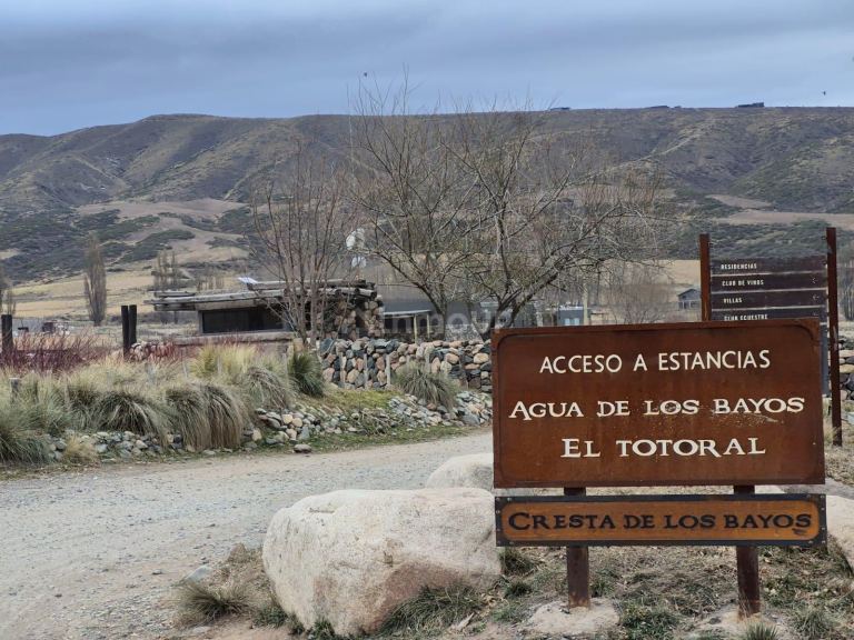 Terreno en Venta en Tupungato, Mendoza