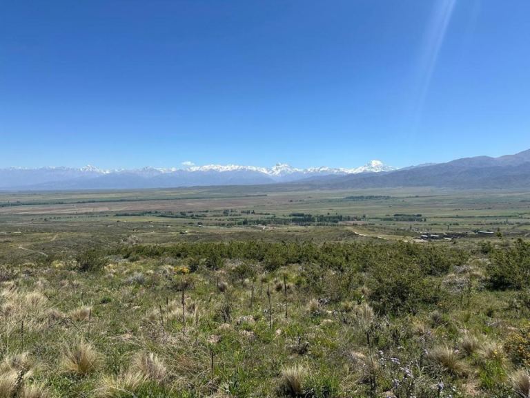 Lote en Venta en Tupungato, Mendoza