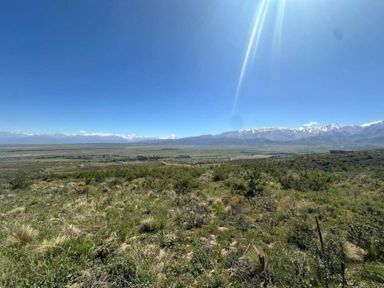 Lote en Venta en Tupungato, Mendoza