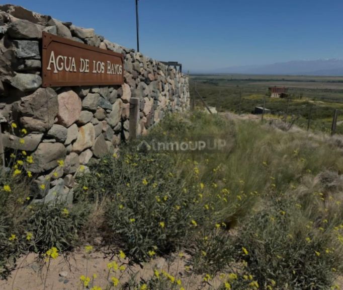 Lote en Venta en Tupungato, Mendoza