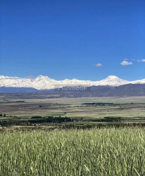 Lote en Venta en Tupungato, Mendoza