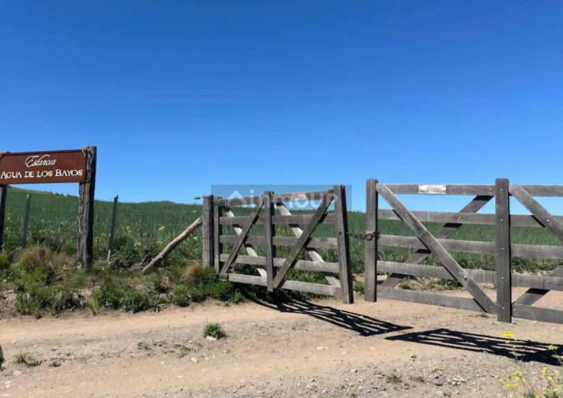 Lote en Venta en Tupungato, Mendoza