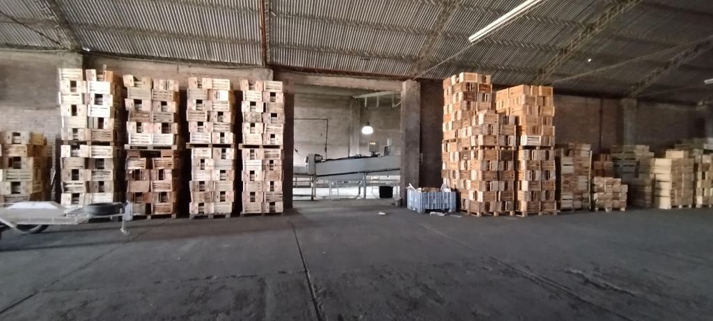 Finca en Venta en San Rafael, Mendoza
