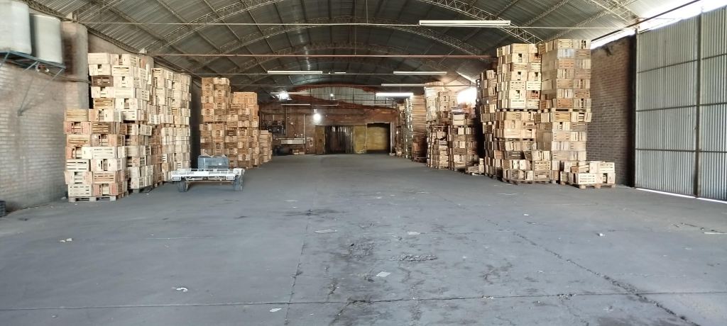 Finca en Venta en San Rafael, Mendoza