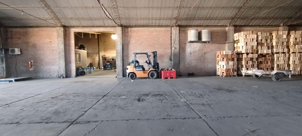Finca en Venta en San Rafael, Mendoza