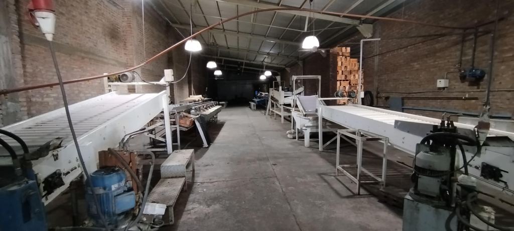 Galpon en Venta en San Rafael, Mendoza