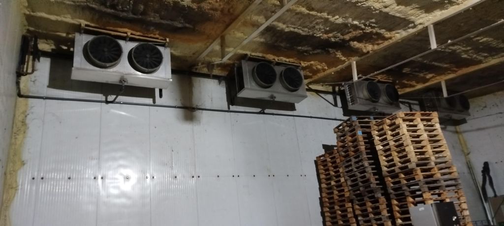 Negocio en Venta en San Rafael, Mendoza