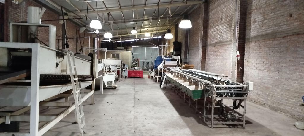 Negocio en Venta en San Rafael, Mendoza