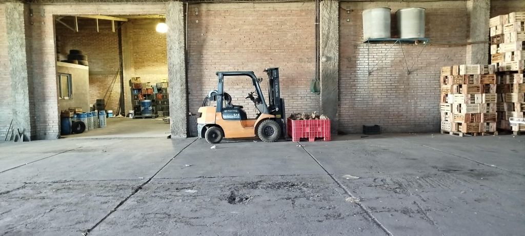 Negocio en Venta en San Rafael, Mendoza
