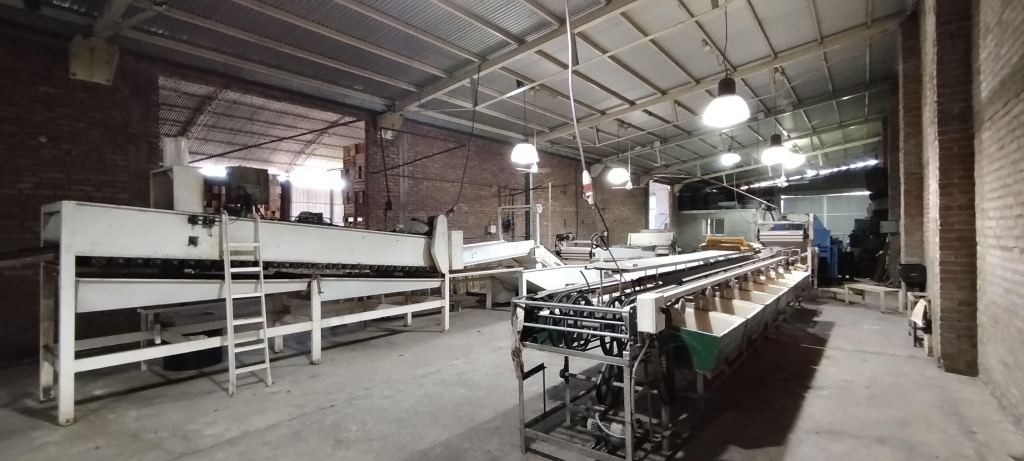 Negocio en Venta en San Rafael, Mendoza