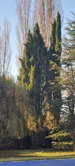 Chalet en Venta en Lujan de Cuyo, Mendoza