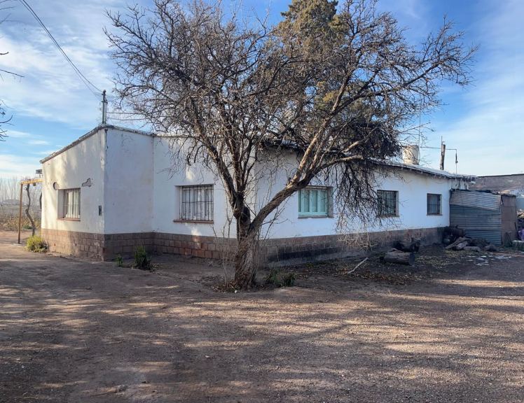 Finca en Venta en Lujan de Cuyo, Mendoza