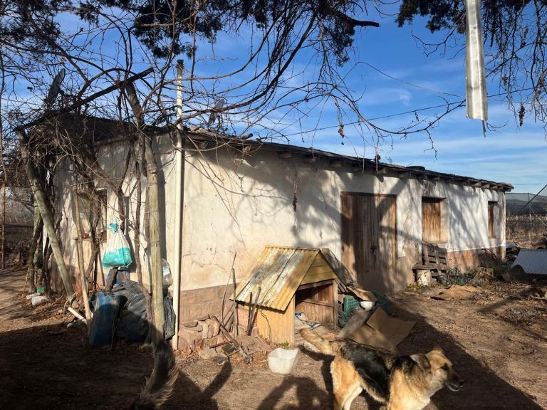 Finca en Venta en Lujan de Cuyo, Mendoza