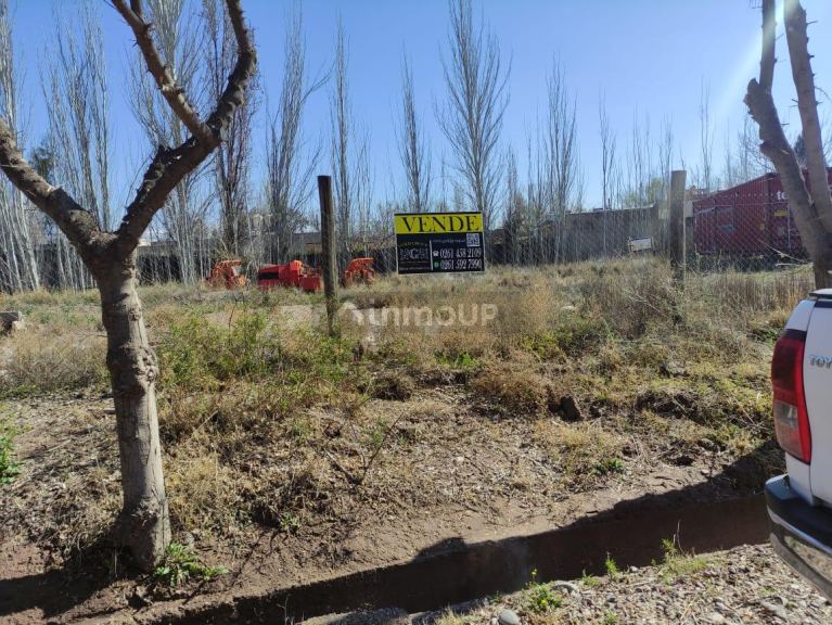 Lote en Venta en Lujan de Cuyo, Mendoza