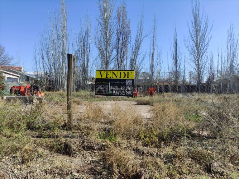 Lote en Venta en Lujan de Cuyo, Mendoza