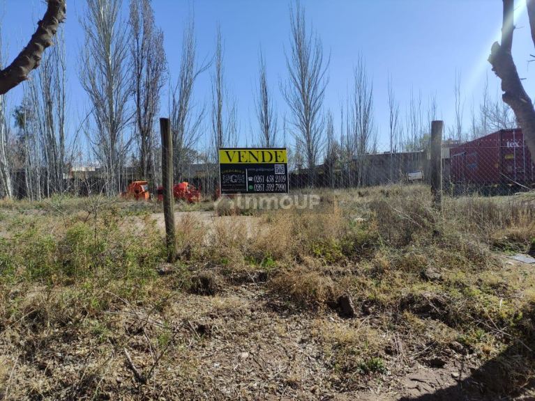 Lote en Venta en Lujan de Cuyo, Mendoza