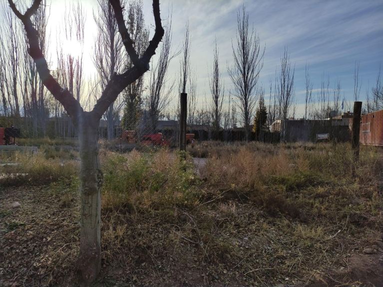 Lote en Venta en Lujan de Cuyo, Mendoza