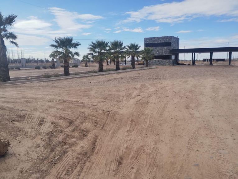 Terreno en Venta en Lujan de Cuyo, Mendoza