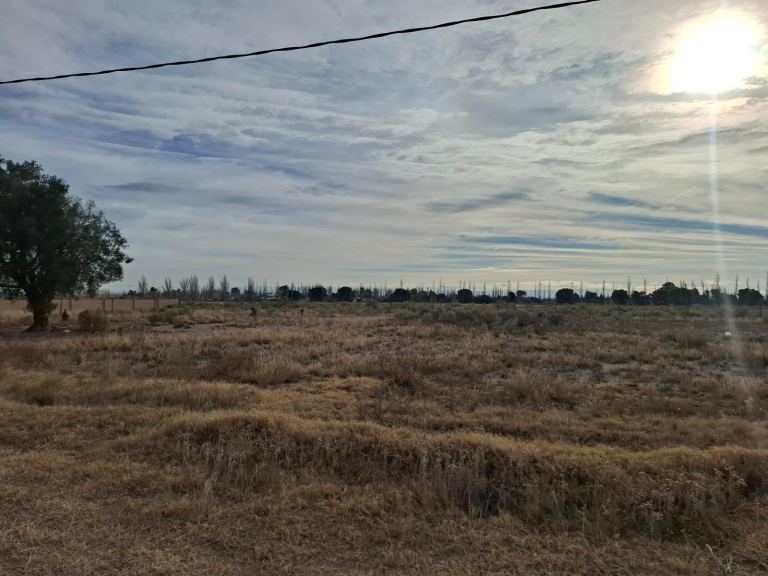 Terreno en Venta en San Rafael, Mendoza
