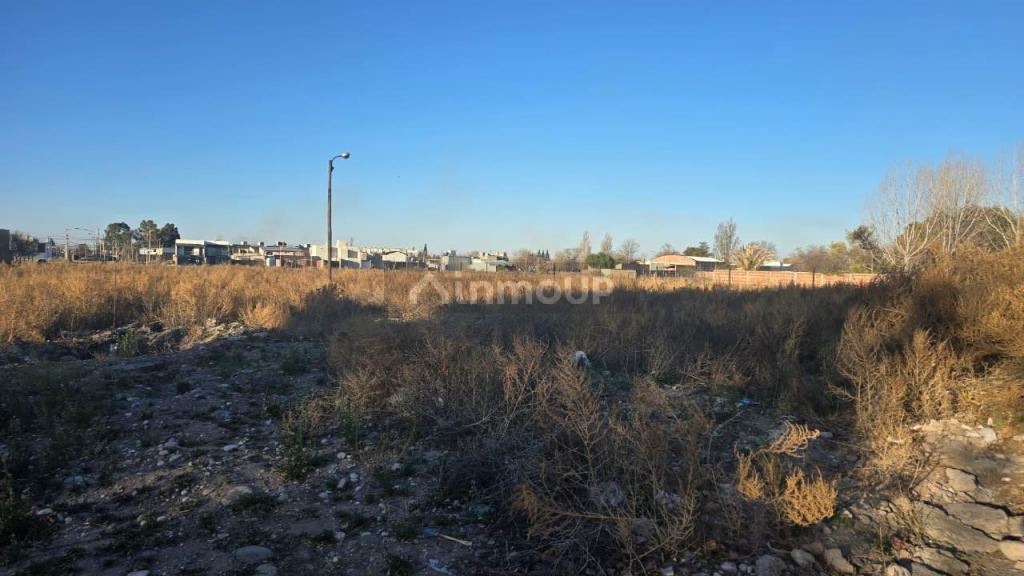 Loteo en Venta en San Rafael, Mendoza