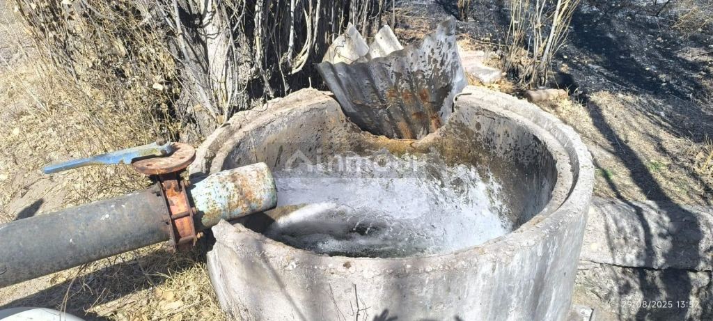 Finca en Venta en Santa Rosa, Mendoza