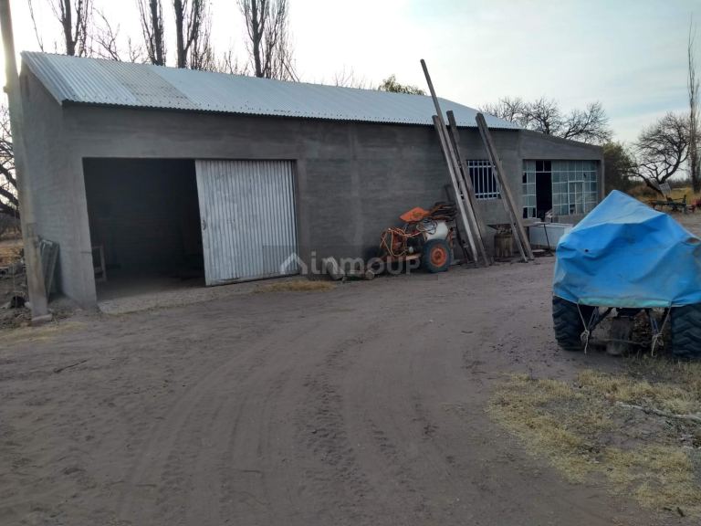 Finca en Venta en Santa Rosa, Mendoza